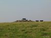 Sylter_Inselblick_2003_S232