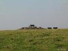 Sylter_Inselblick_2003_S232_jpg