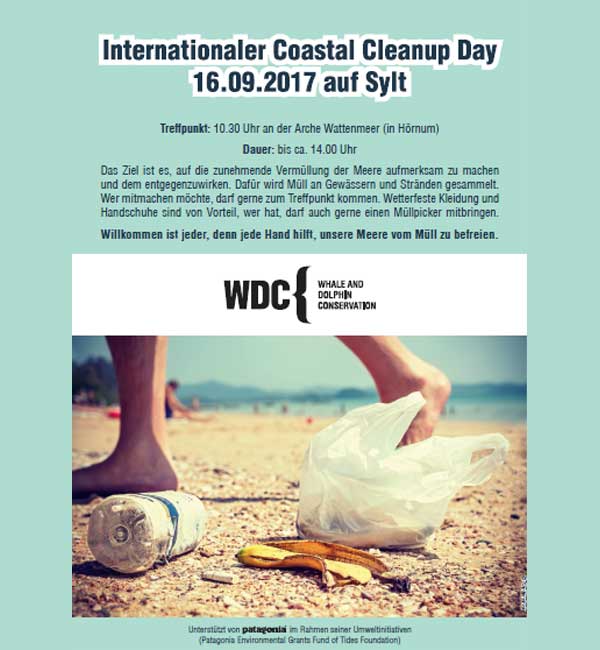 Schützt die Wale – WDC Beach Clean Up auf Sylt
