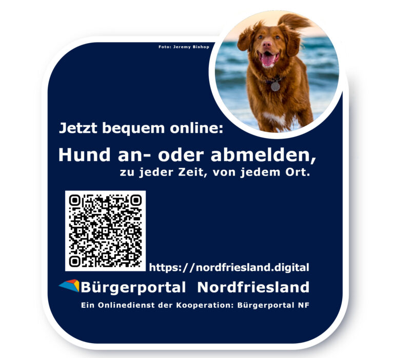 Sylt: Neuer Online-Service: Hund an- und abmelden ab sofort digital möglich