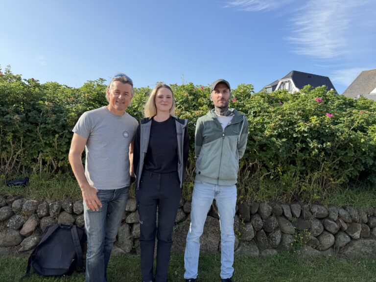 Feldforschung auf Sylt: Universität Göttingen startet Goldafter-Studie